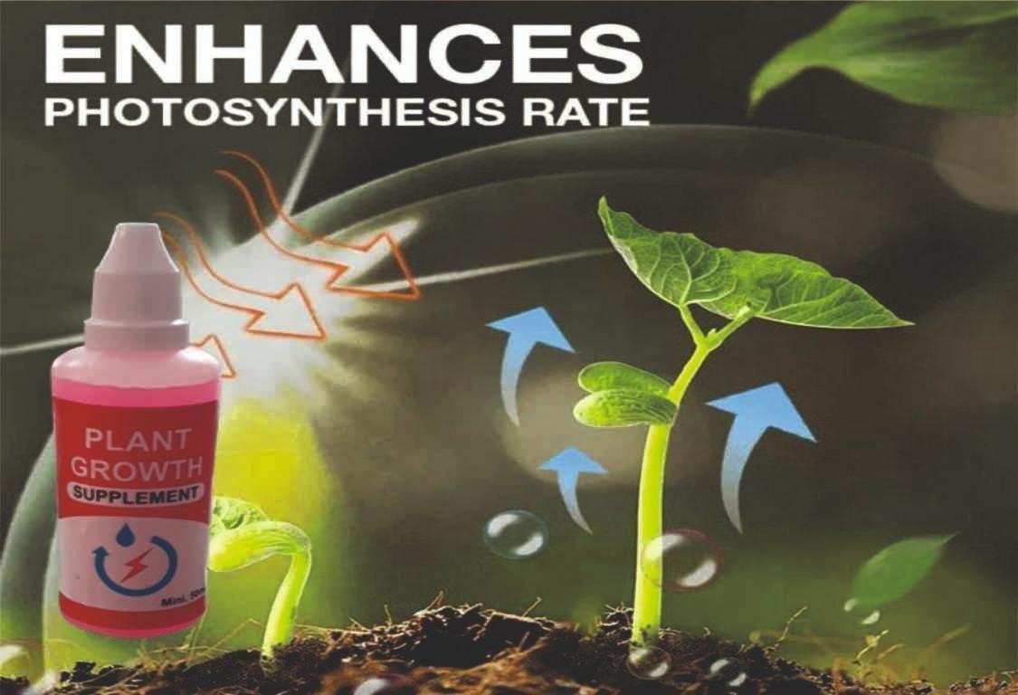 Plant Growth Enhancer Supplement - ALL BRAND SHOP